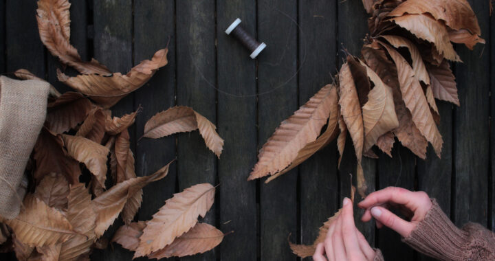 festone di foglie secche